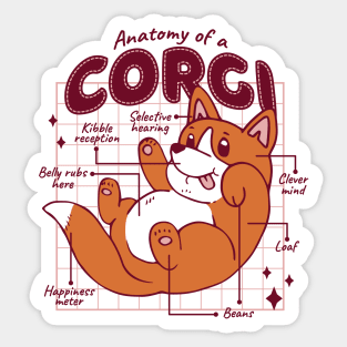 Anatomy of corgi Funny Dog Lovers Memes Quotes Sticker